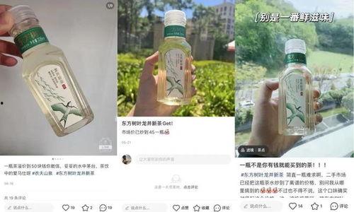 东方树叶最新爆料,揭秘茶饮界的绿色革命 第3张 东方树叶最新爆料,揭秘茶饮界的绿色革命 第3张